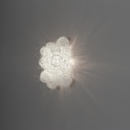 a-Emotional Light Blum Wall Light | All Square Lighting