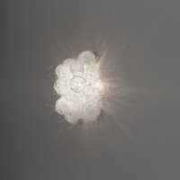 a-Emotional Light Blum Wall Light | All Square Lighting