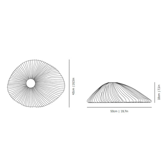 Onn Medium Wall Light