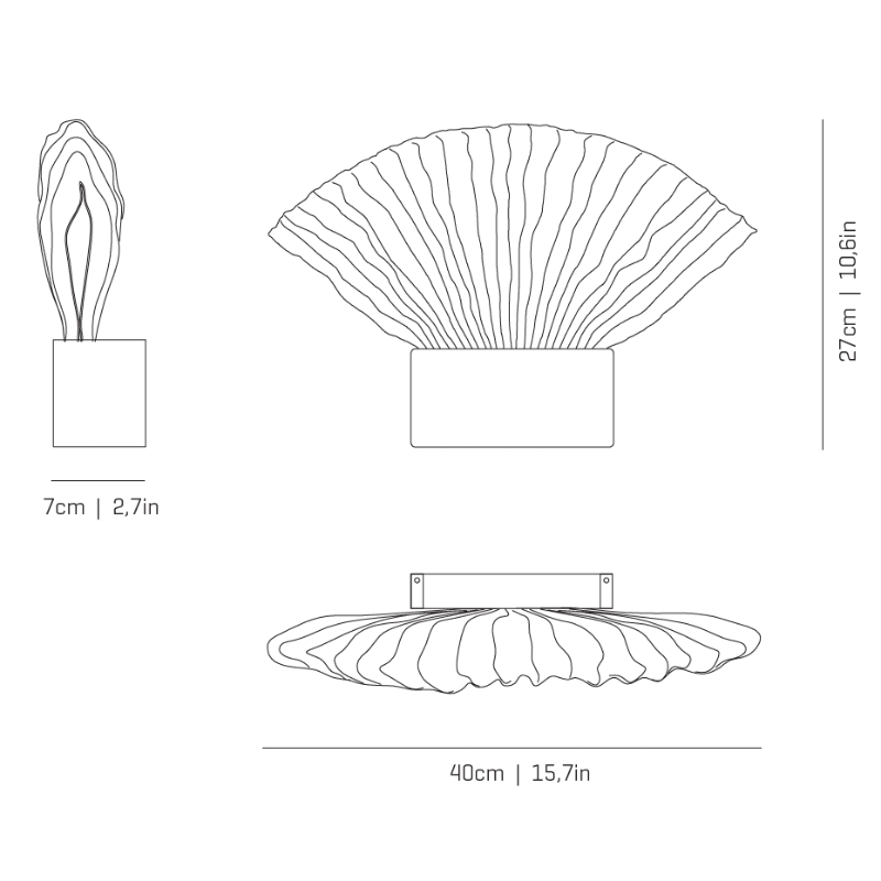 Venus Wall Light