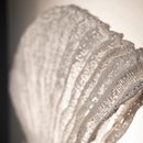 a-Emotional Light Venus Wall Light | All Square Lighting