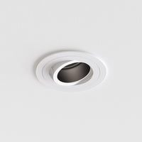 Pinhole PRO Round Adjustable Downlight