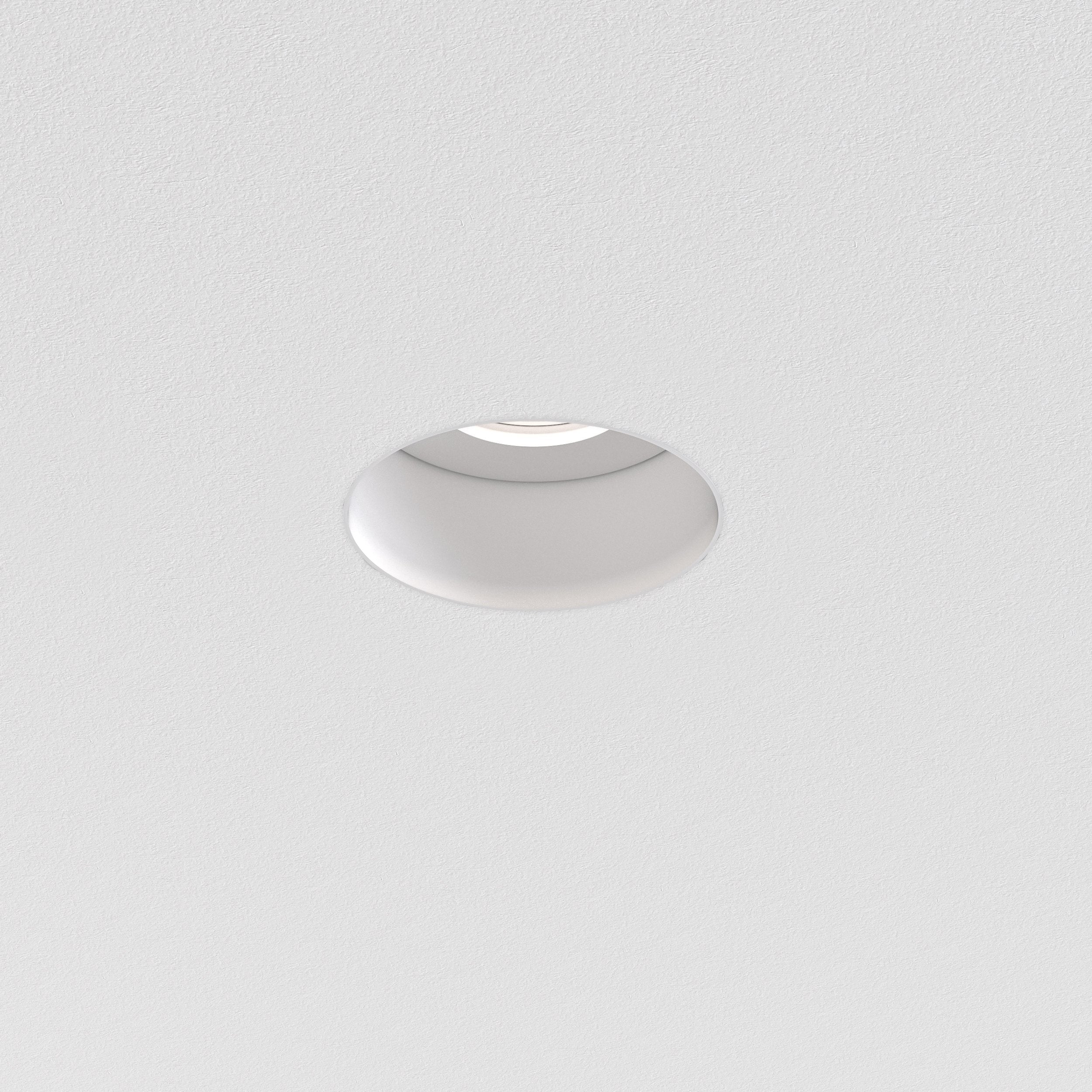 Trimless PRO Round Fixed IP65 Downlight