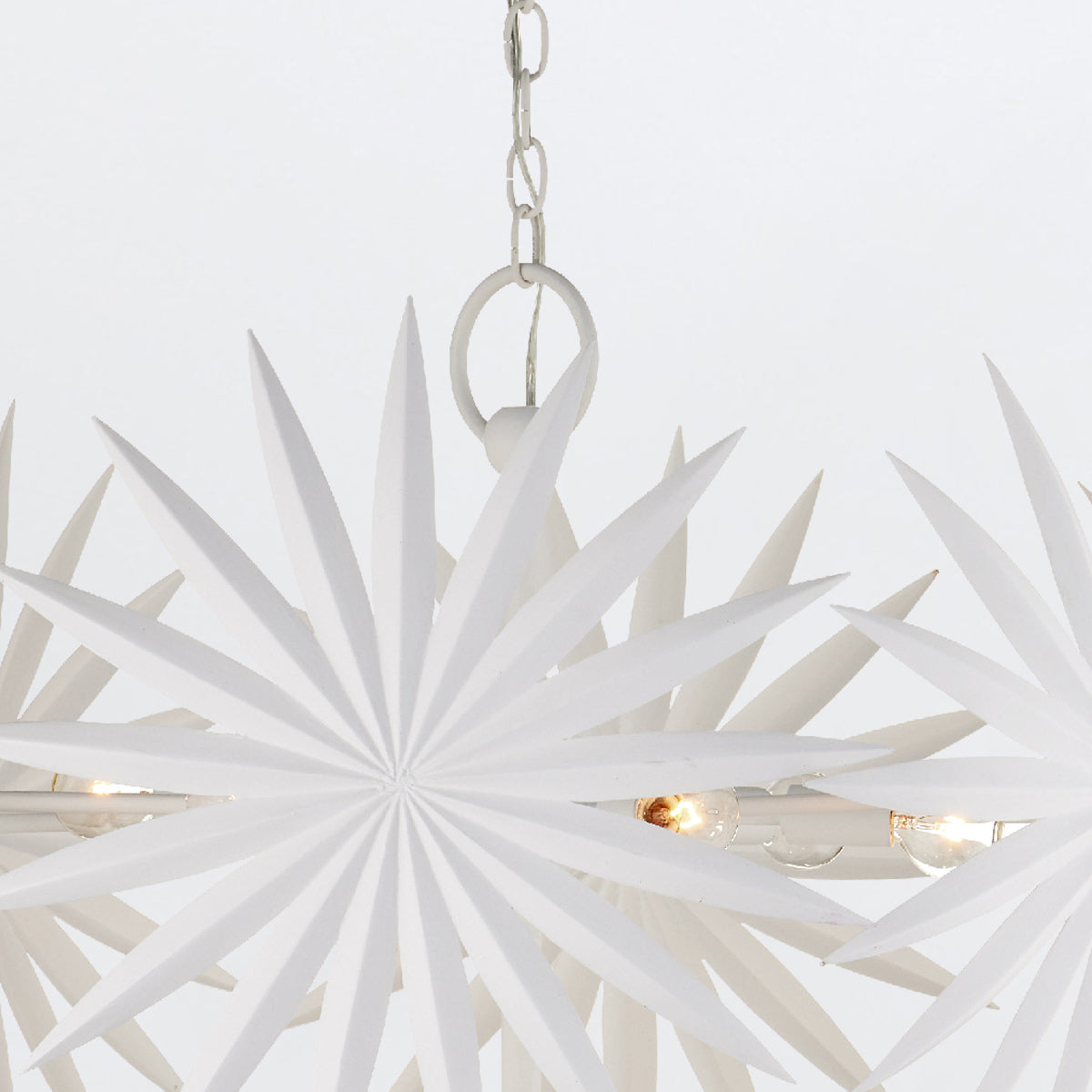 Bismarkia Medium Pendant Light