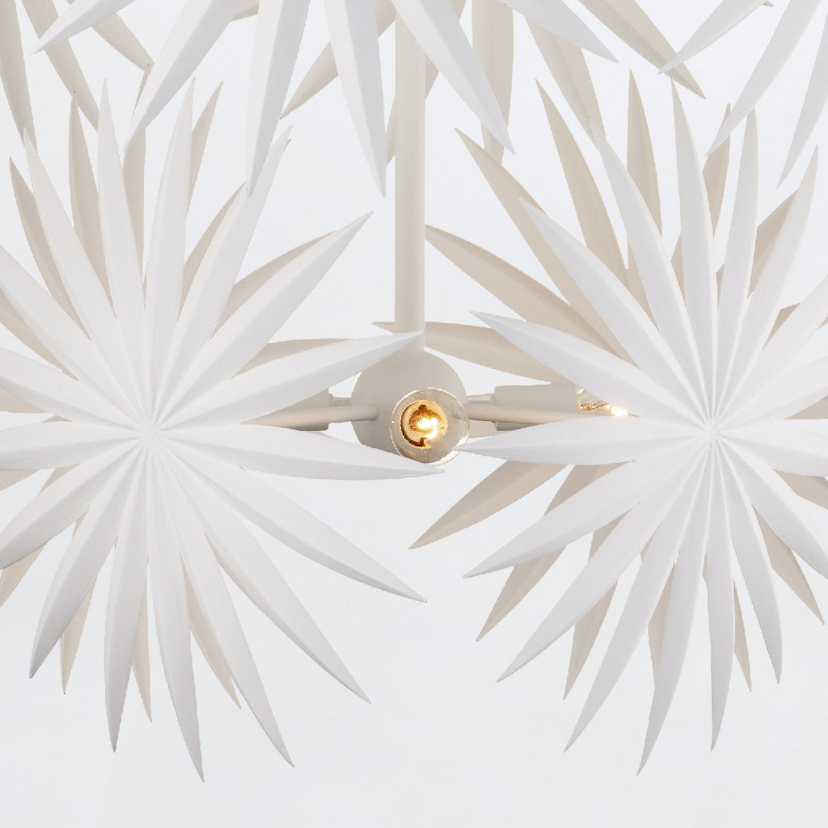 Bismarkia Medium Pendant Light