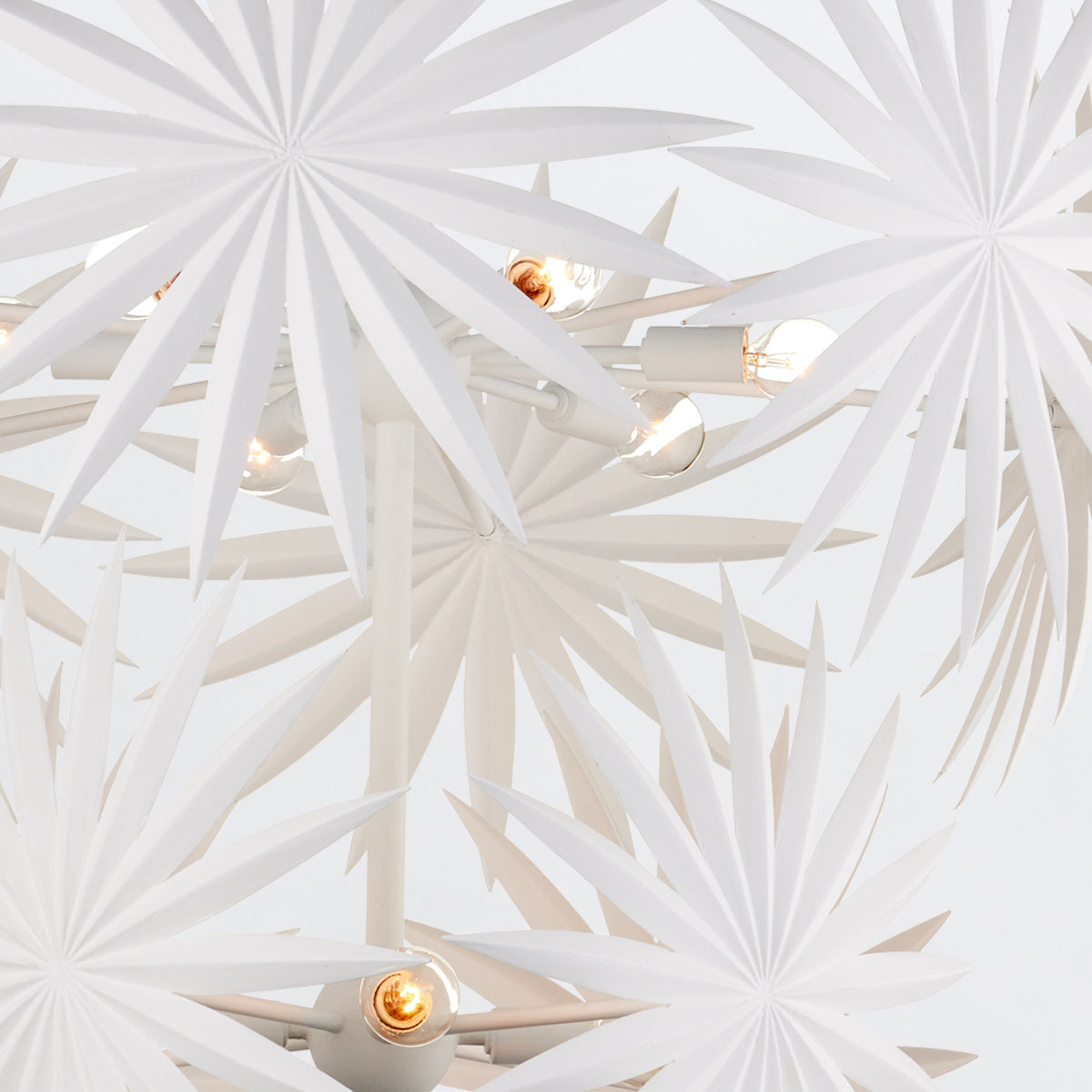 Bismarkia Medium Pendant Light