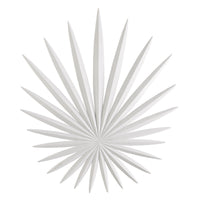 Bismarkia Wall Light
