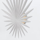 Bismarkia Wall Light