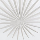 Bismarkia Wall Light