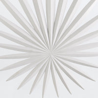 Bismarkia Wall Light