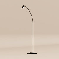 Richelle P Extended Floor Lamp