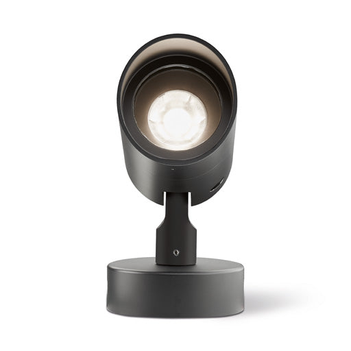 LD10238 Spotlight