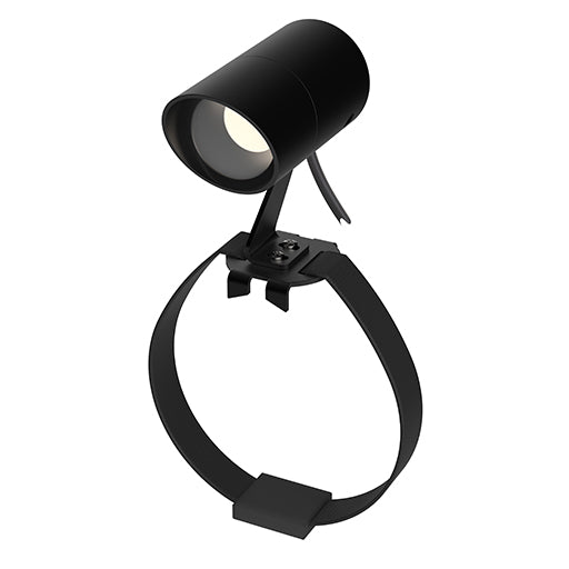 LD10238 Spotlight