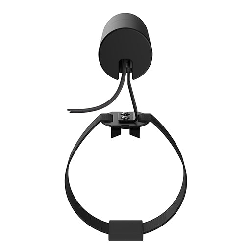 LD10238 Spotlight