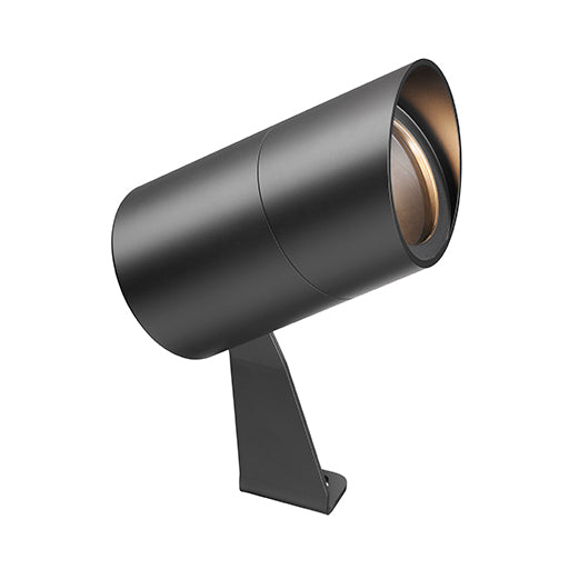 LD10238 Spotlight