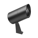 LD10238 Spotlight