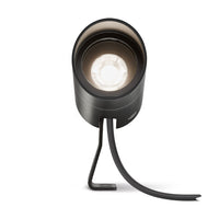 LD10238 Spotlight