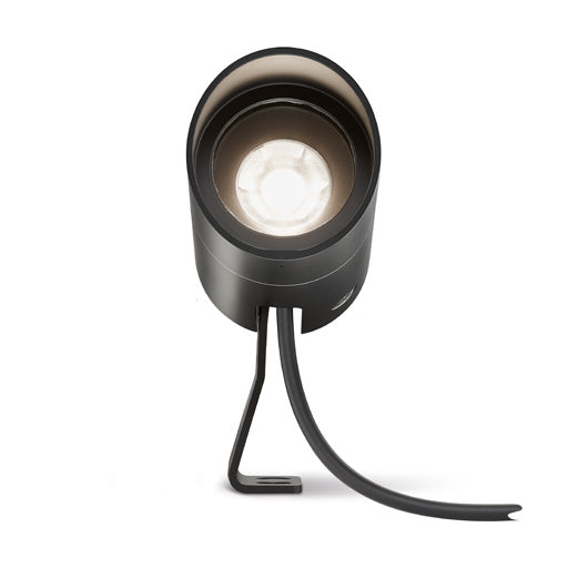 LD10238 Spotlight