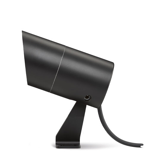 LD10238 Spotlight
