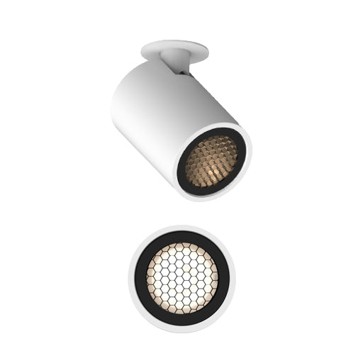 LD233 Spotlight