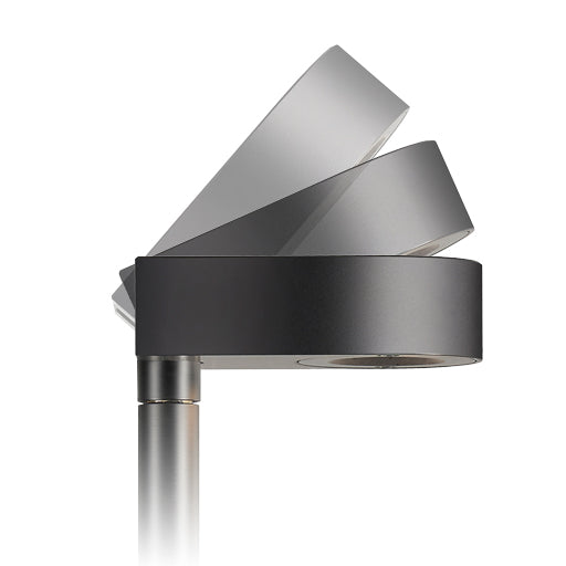 LD50 Spike Light