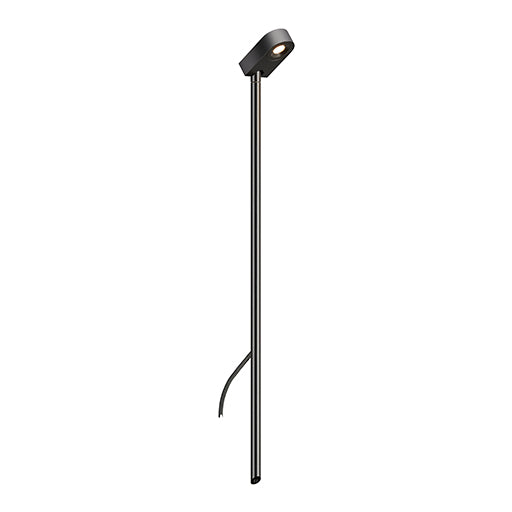 LD50 Spike Light