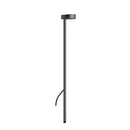 LD50 Spike Light