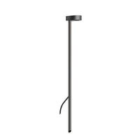 LD50 Spike Light