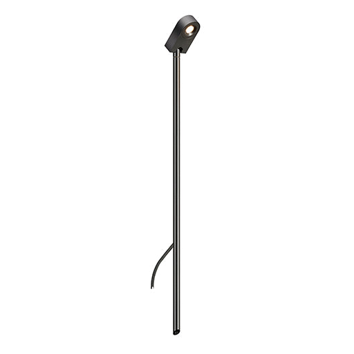 LD50 Spike Light