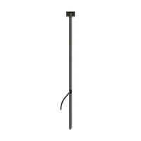 LD50 Spike Light