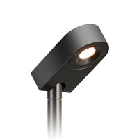 LD50 Spike Light