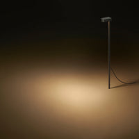 LD50 Spike Light