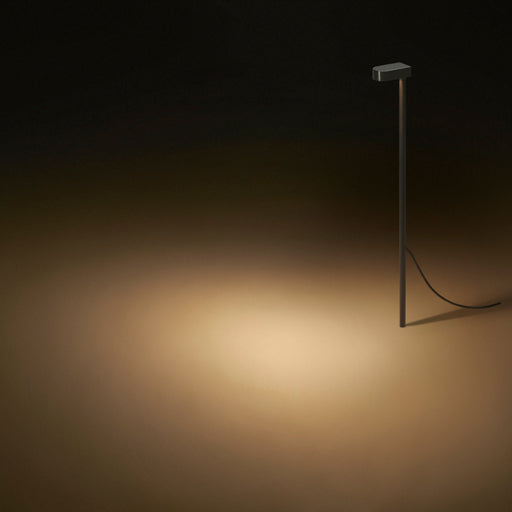 LD50 Spike Light