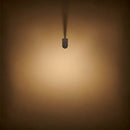 LD50 Spike Light