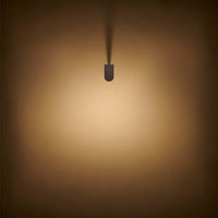 LD50 Spike Light