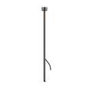 LD50 Spike Light