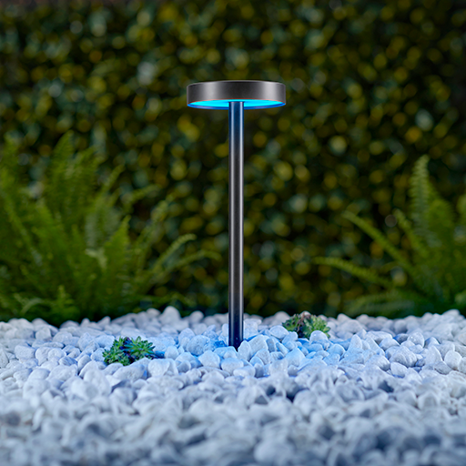 LD53 Spike Light