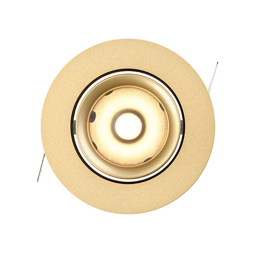 LD790 Downlight