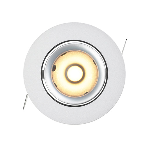 LD790 Downlight