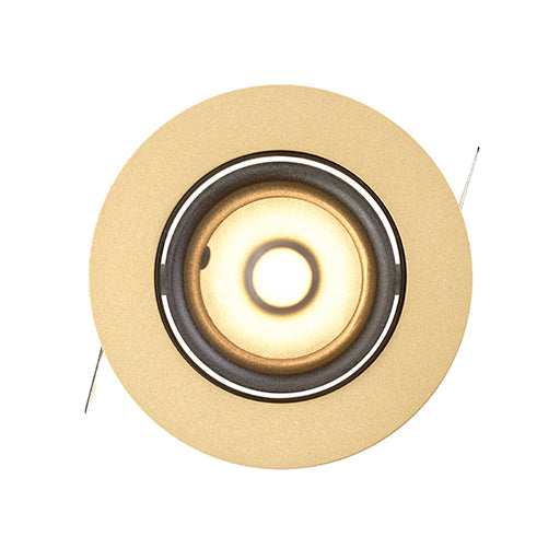 LD792 Downlight
