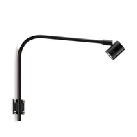 LD82 Spotlight
