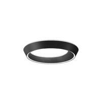 Tidal 45 Ceiling Light