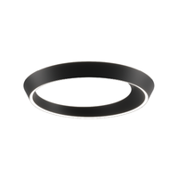 Tidal 60 Ceiling Light