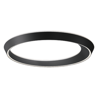 Tidal 75 Ceiling Light