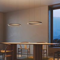 Lodes Tidal Adjustable Pendant Light | All Square Lighting