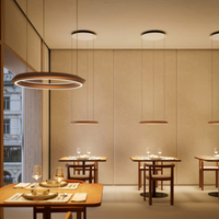Lodes Tidal Adjustable Pendant Light | All Square Lighting