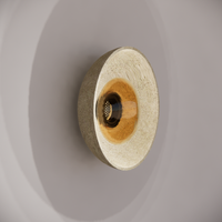 Noctilucia Shell Medium Wall Light