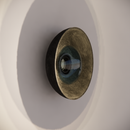 Noctilucia Shell Medium Wall Light