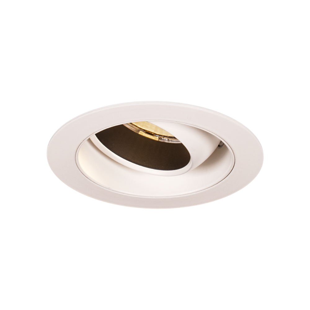 Oculus50 HO Accent Trim Downlight