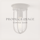 Docklight N011 Ceiling Light